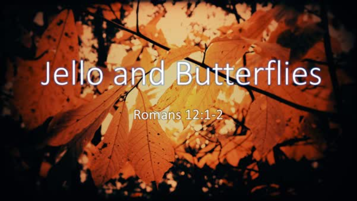 "Jello and Butterflies," Romans 12:1-2