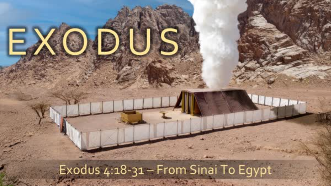 "From Sinai to Egypt," Exodus 4:18-31